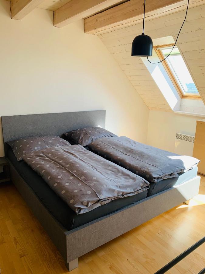 Dovolena Bez Starosti - Apartman U Venuse Pavlov Ngoại thất bức ảnh
